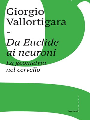 cover image of Da Euclide ai neuroni